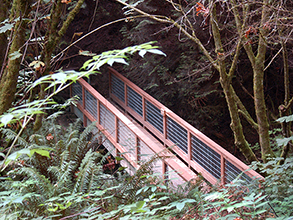 Kitsap County litter pick-up