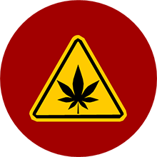 marijuana, cannabis leaf in caution sign for marijuana and cannabis prevention and resources