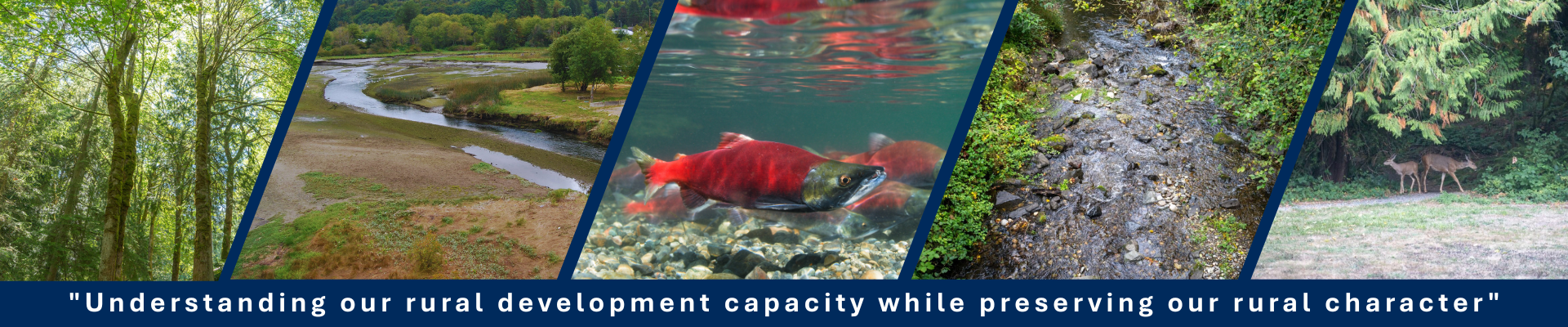 Page header: "Understanding our rural development capacity while preserving our rural character"