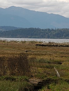 Anderson Landing Preserve