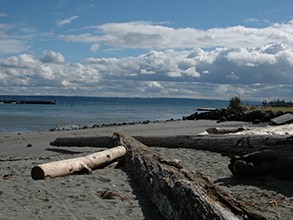 Arness Roadside Park