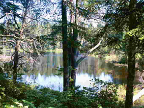 Coulter Creek Heritage Park