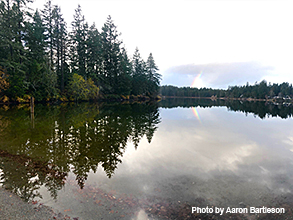 Horseshoe Lake Park