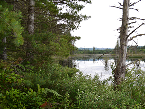 Newberry Hill Heritage Park