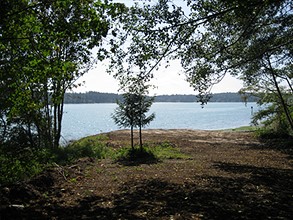 Port Gamble Forest Heritage Park