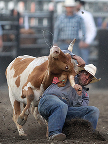 Thunderbird Arena - Rodeo