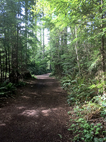 South Kitsap Regional Park Master Plan Ariel View