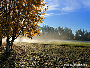 South Kitsap Regional Park