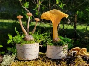 2026 Earth Day Award Art by Alyssa Miller, two glassed sculptures of mushrooms on a wood stand