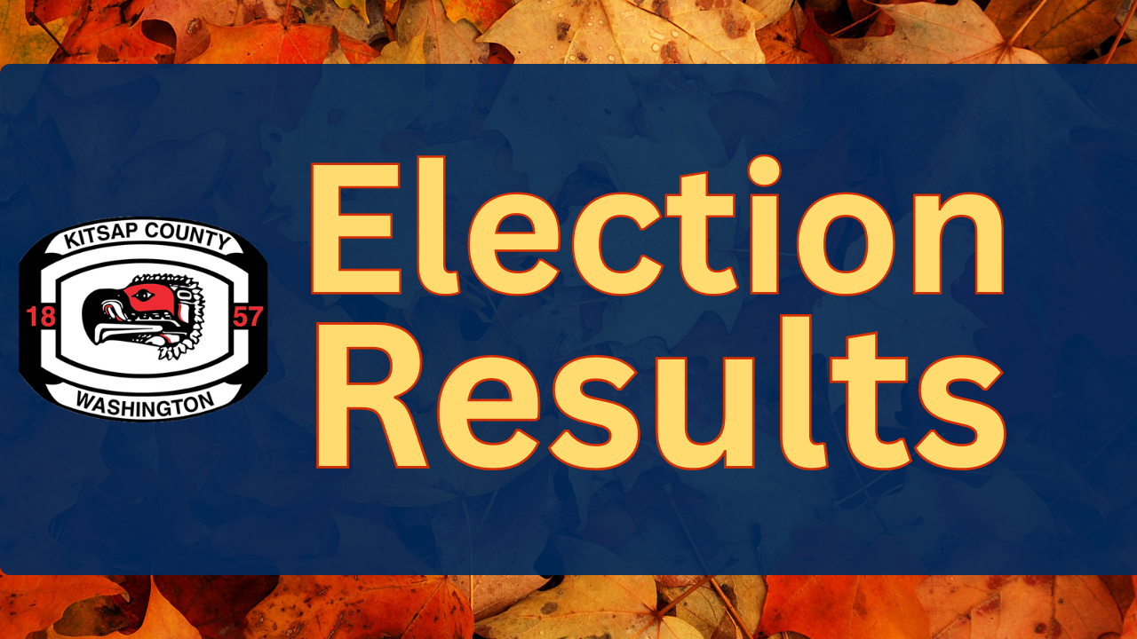 Election Results Nov 12 2025