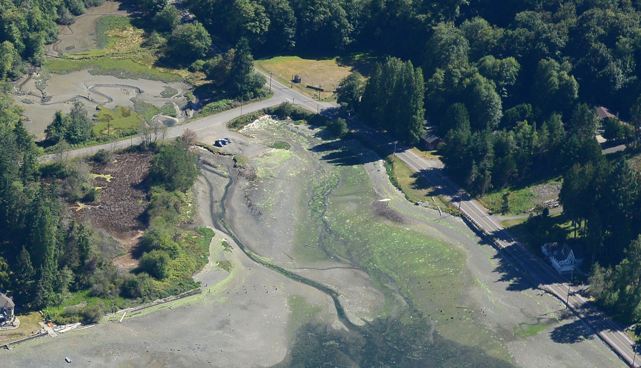 Harper Estuary