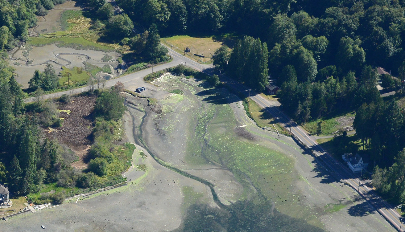 Harper Estuary 