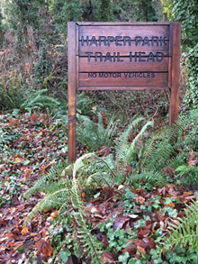 Wildcat Lake Park Picnic Shelter